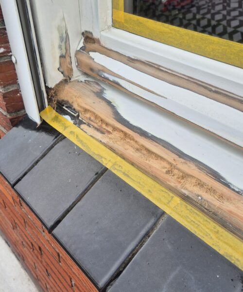 Houtrot herkennen en herstellen