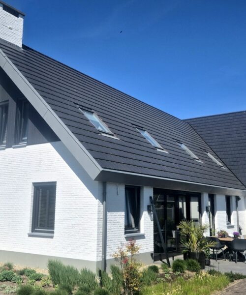 Houtrot herkennen en herstellen